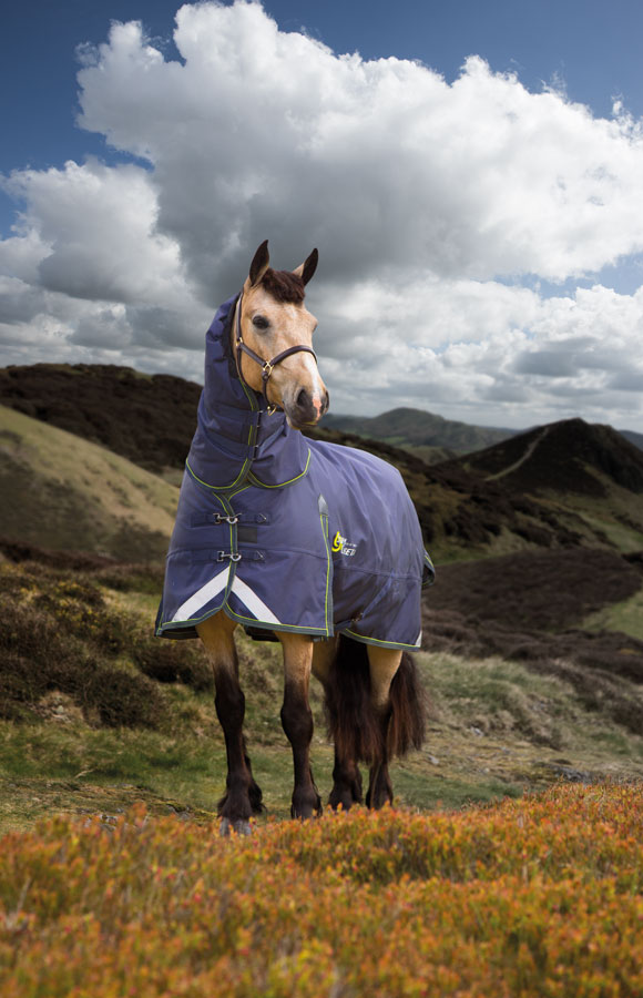 Equestrian Rug cleaning service Oldwick Saddlery