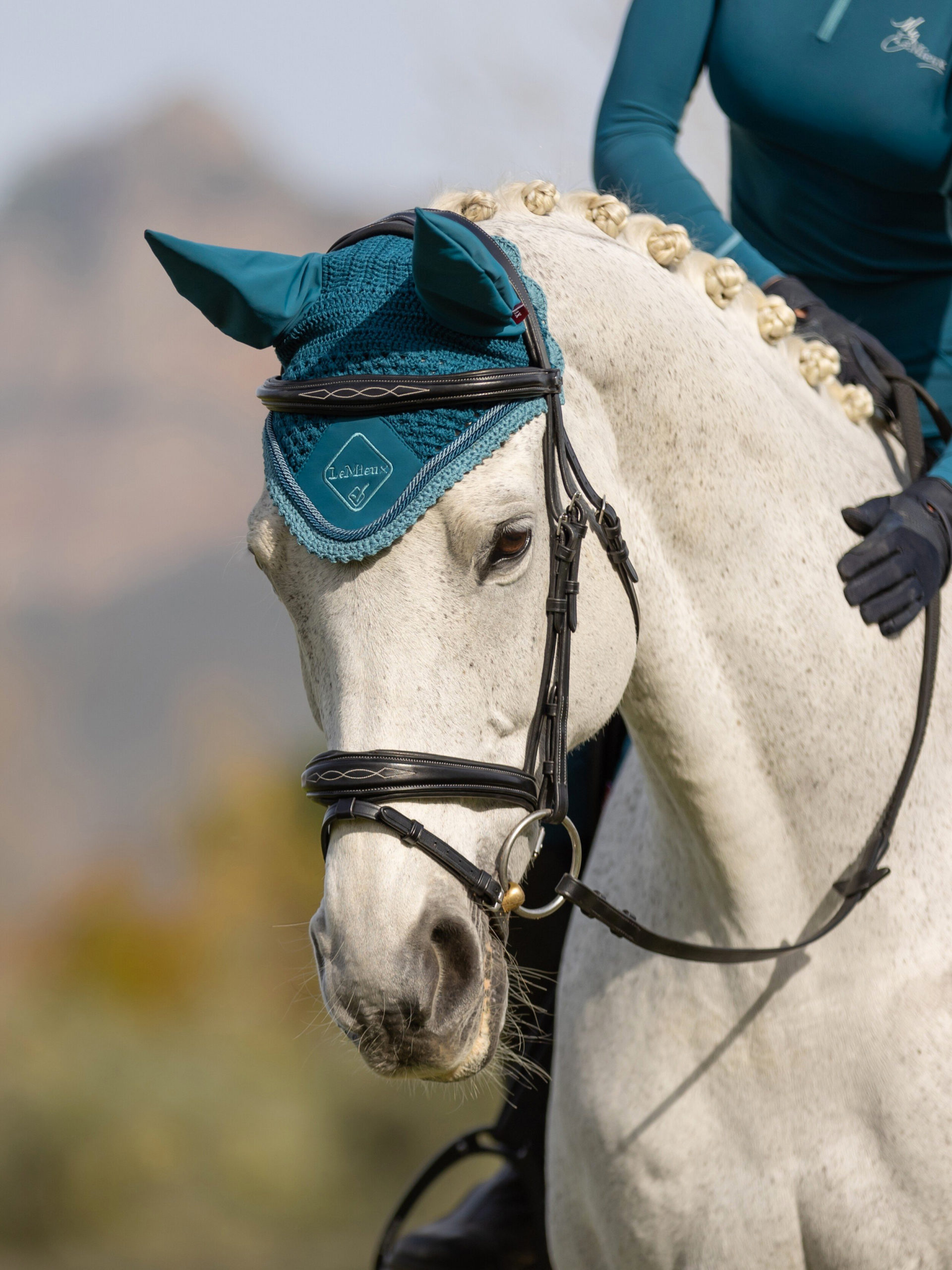 lemieux-classicflyhood-marine2