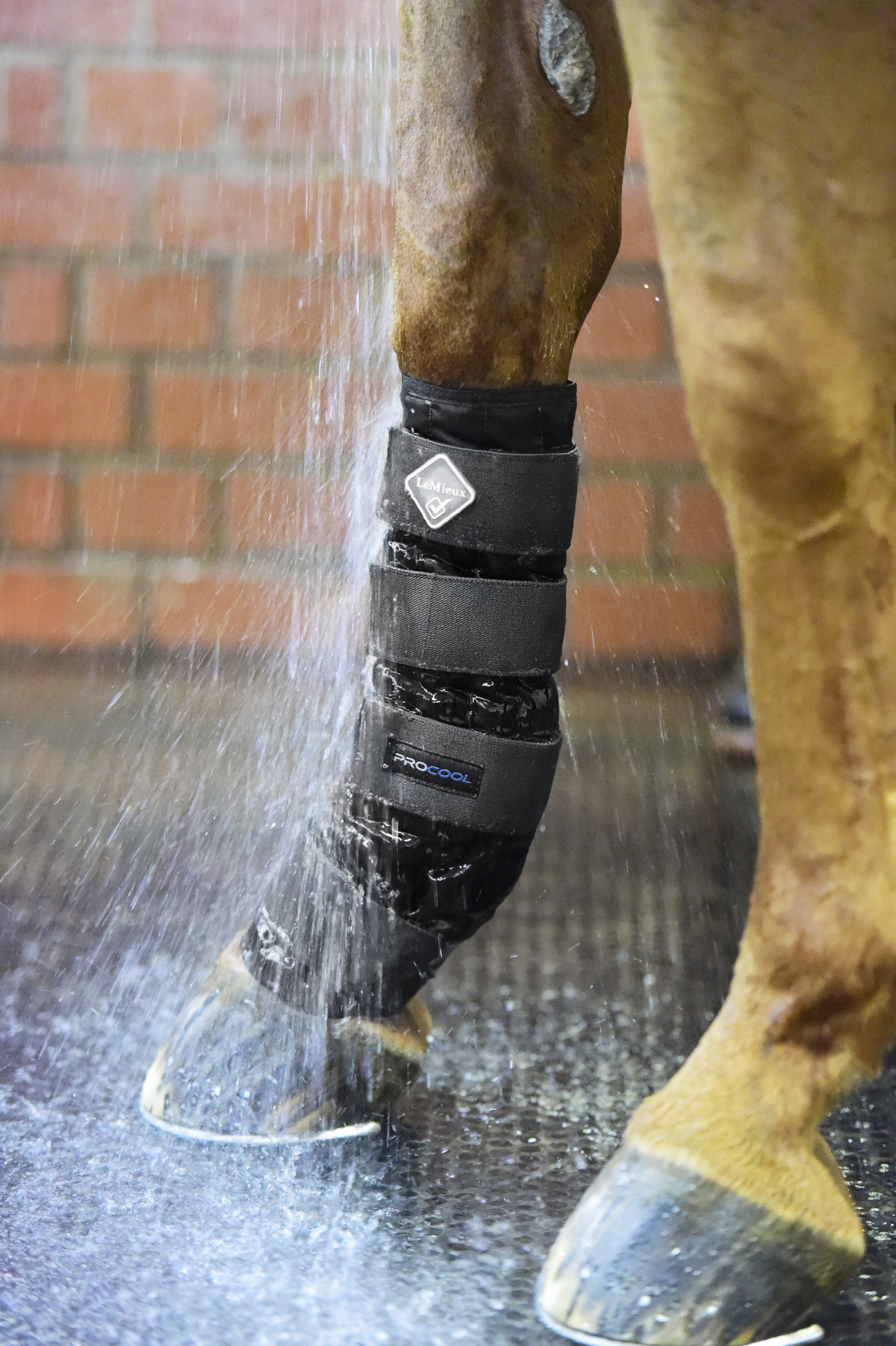 lemieux-coldwaterboots2