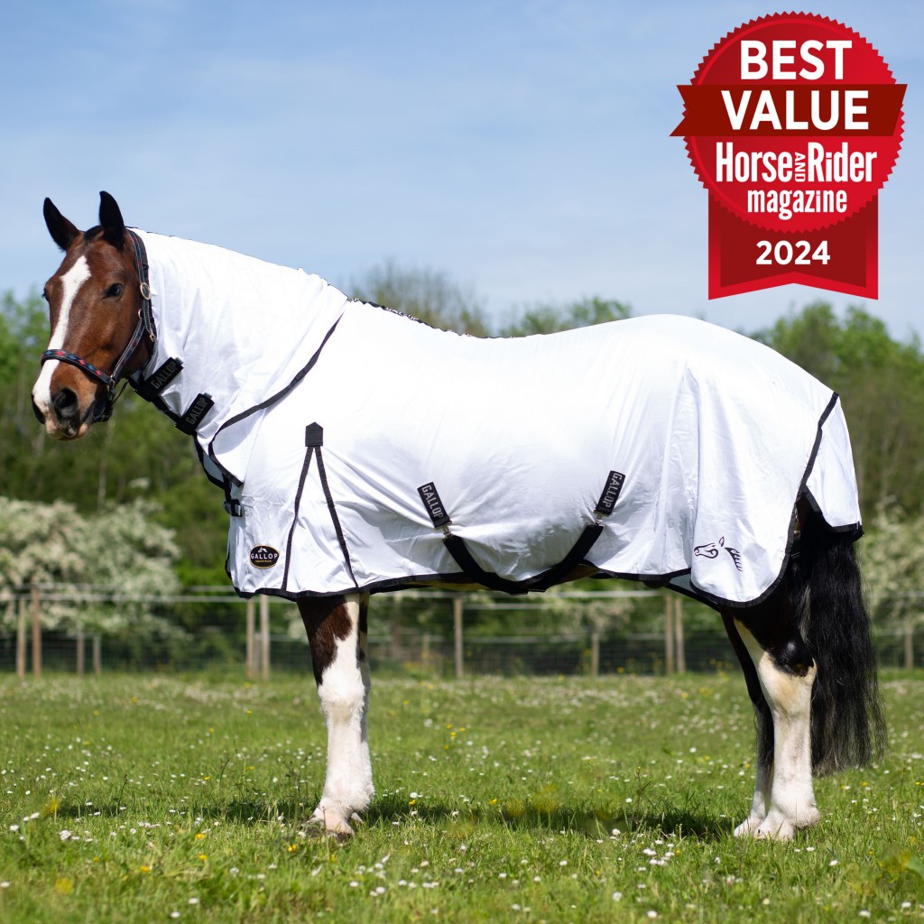 Gallop Classic Fly Rug