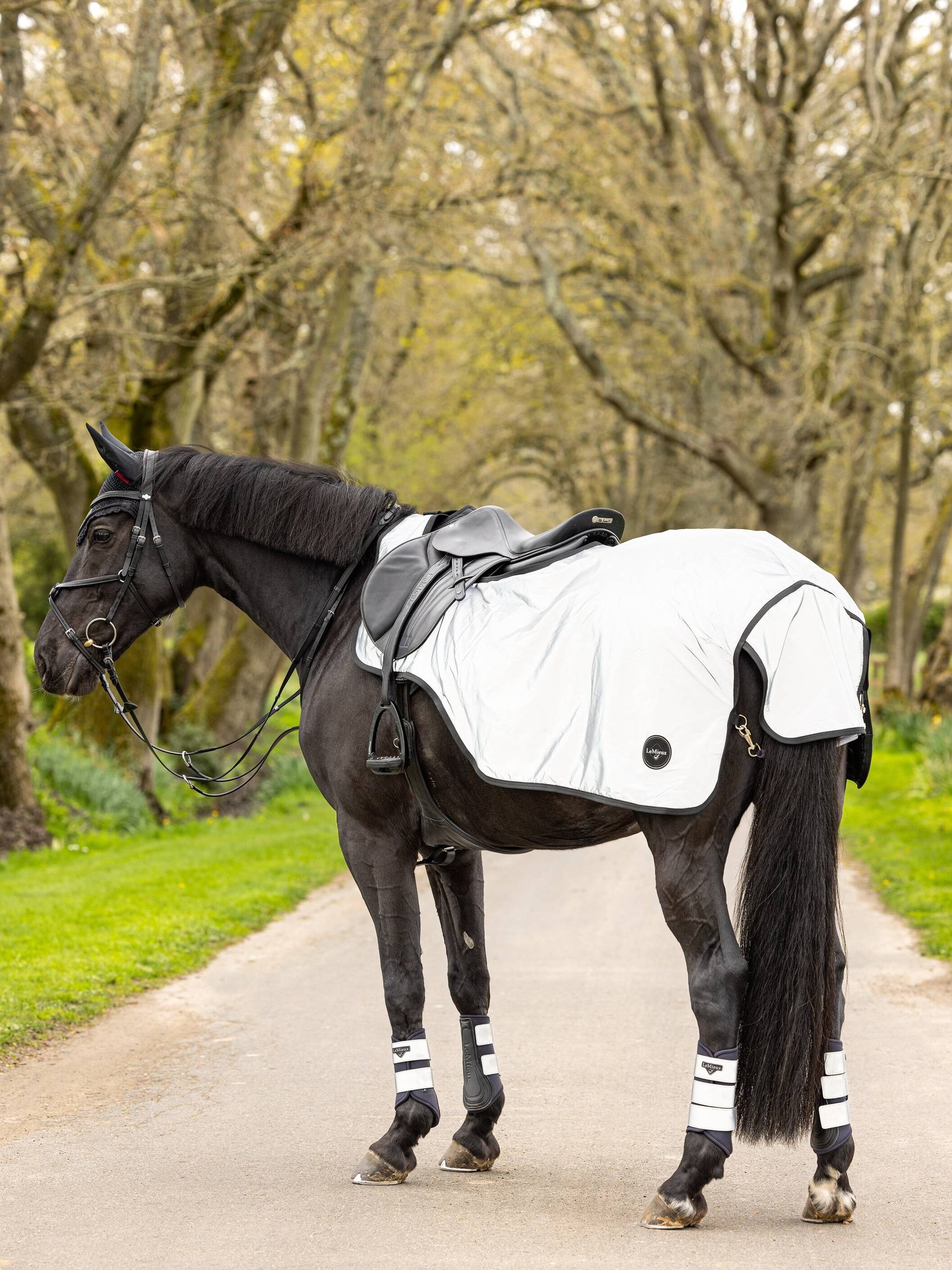 it03873_lifestyle_reflectiveexercisesheet_1_copy