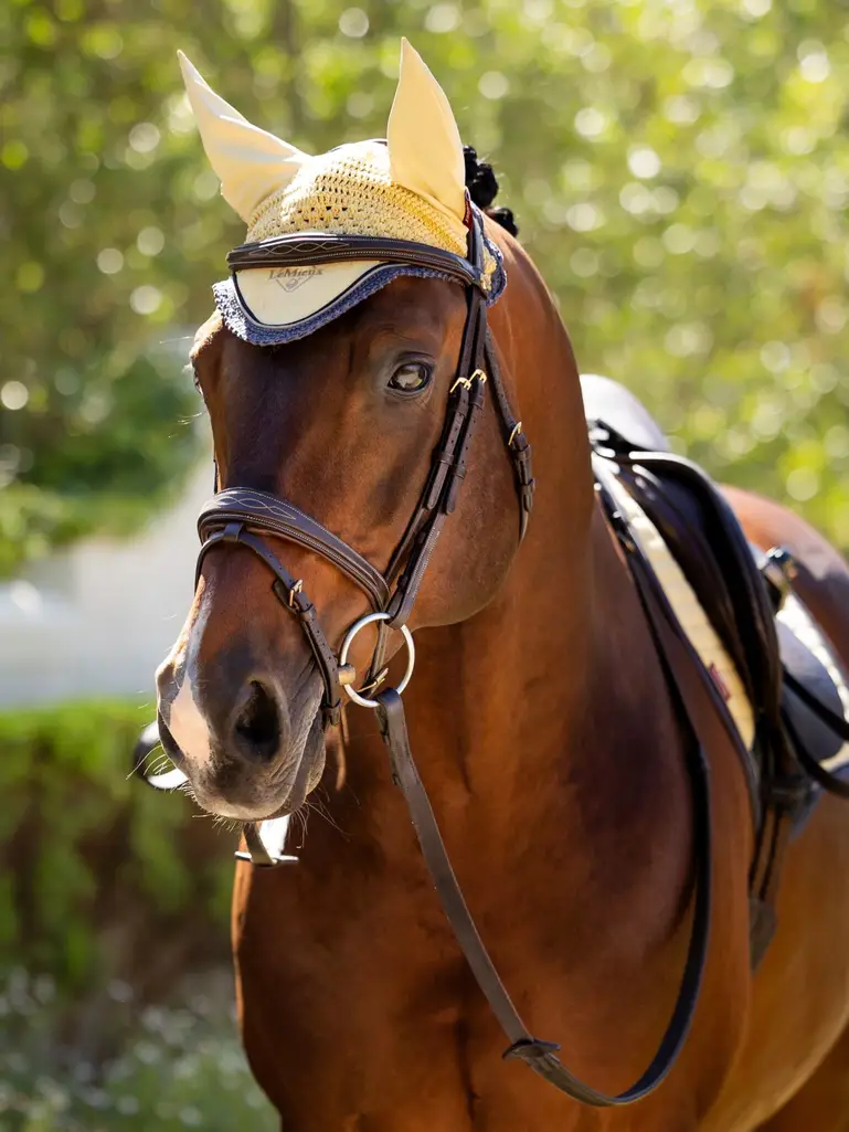 it05914_lifestyle_classicflyhood_mimosa_4