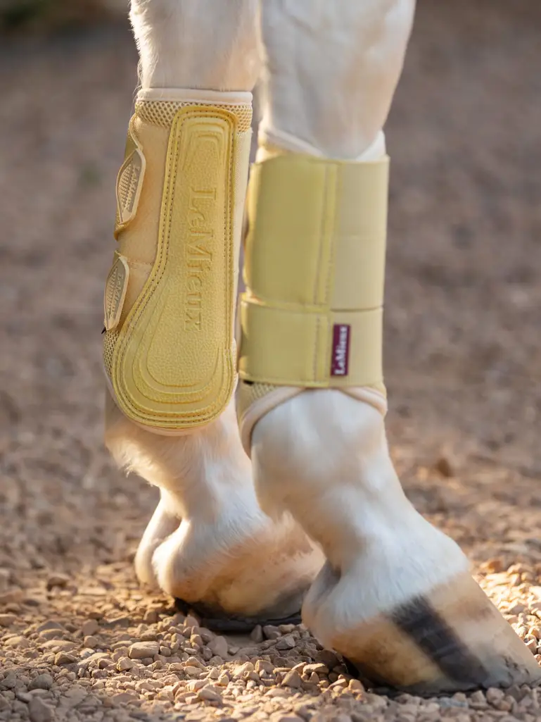 tracyrobertson_merino25_019