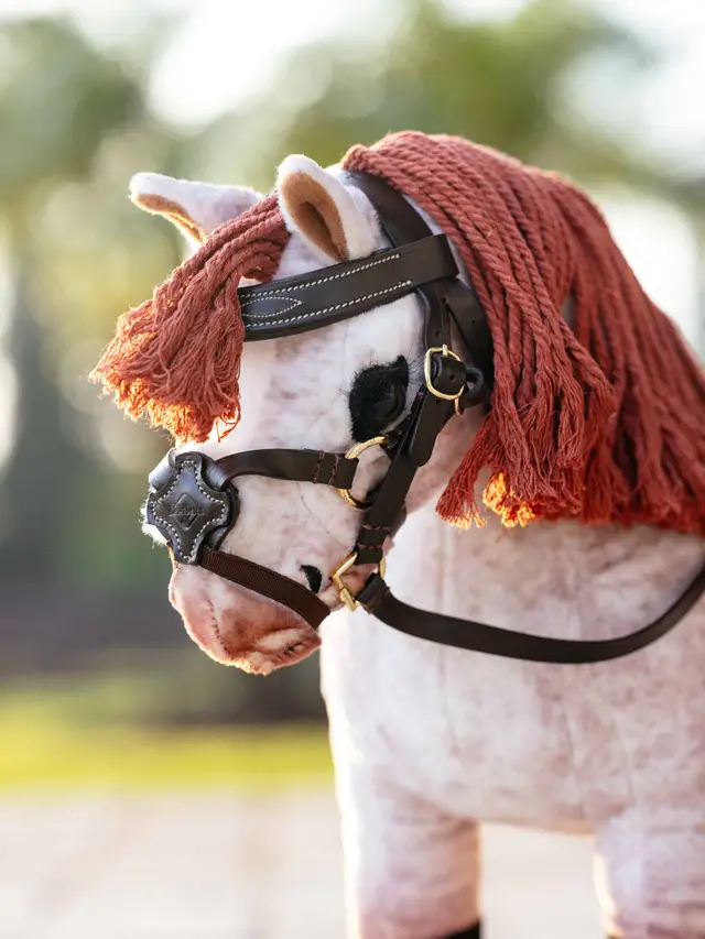 it06294_lifestyle_toyponygracklebridle_brown_1