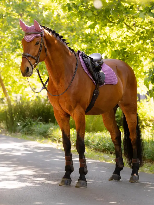 it08267_lifestyle_suedeccsquare_mallow_8