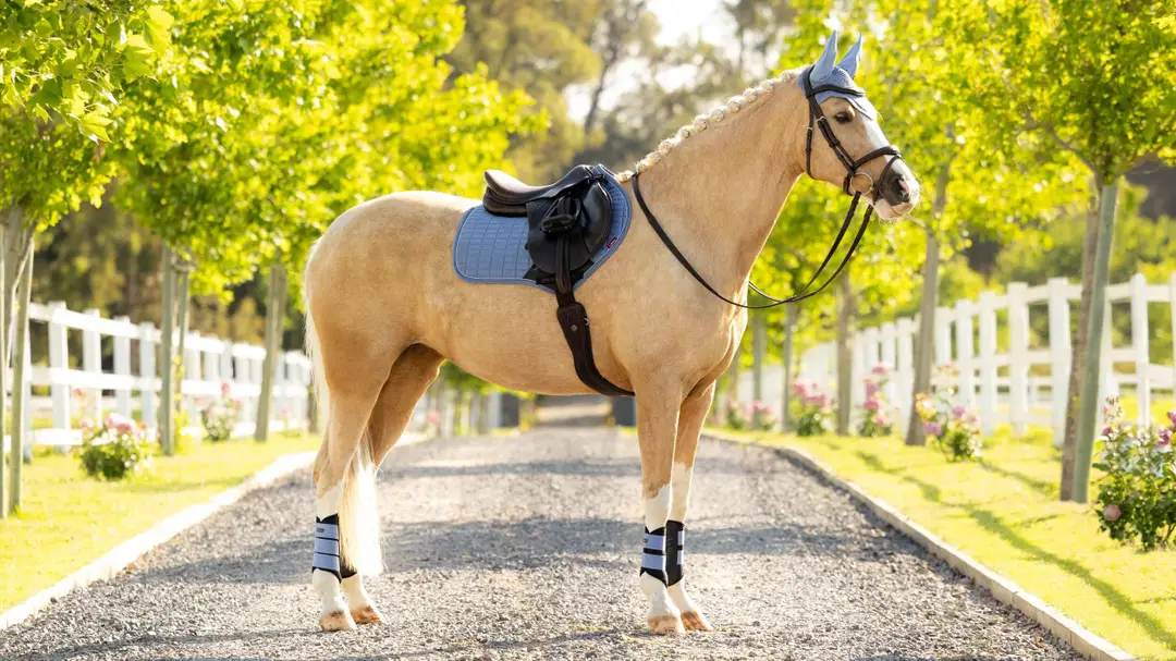 it08268_lifestyle_suedeccsquare_powderblue_1