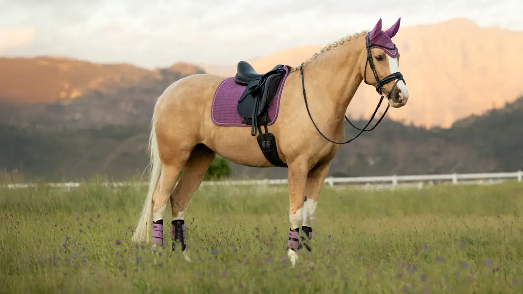 it08270_lifestyle_suededressagesquare_mallow_2