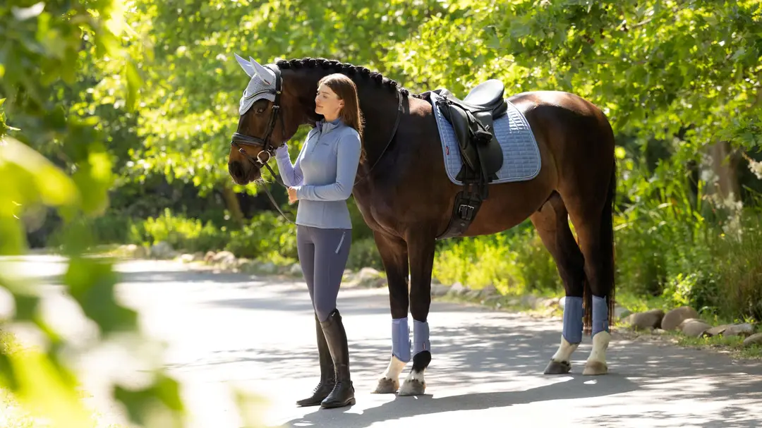 it08271_lifestyle_suededressagesquare_powderblue_2