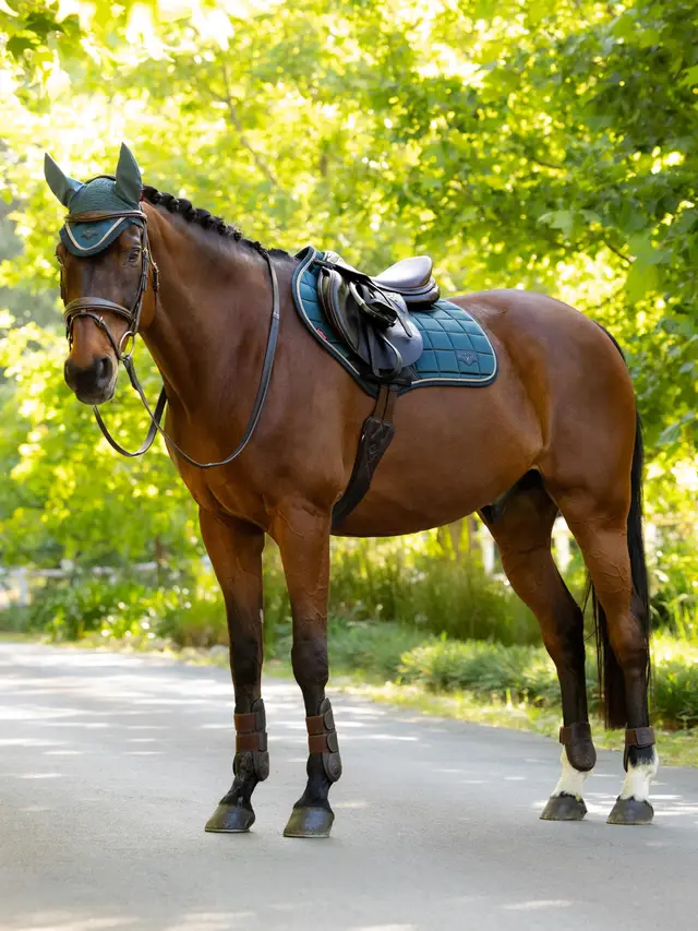 it08286_lifestyle_loireclassicccsquare_jungle__1