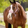 it08336_lifestyle_vogueheadcollar_mallow_01