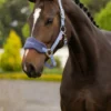 it08338_lifestyle_vogue_headcollar_powder_blue_01